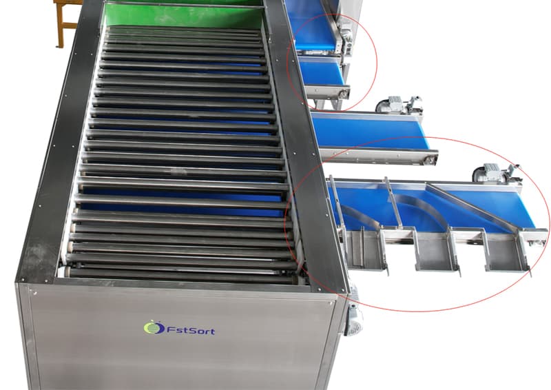 images/1654157277074lychee sorter.jpg